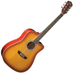 Washburn WA 90 C (TS)