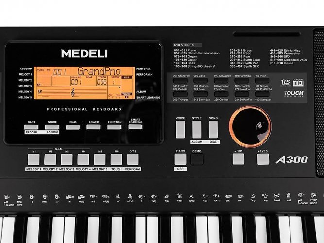 Medeli A 300 - Keyboard