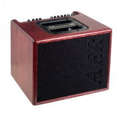 AER Compact 60 IV (OMH) - Kombo pre akustické nástroje