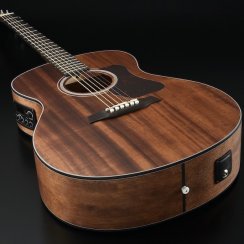 Walden G 551 E (N) - elektroakustická kytara