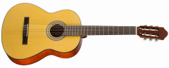Walden N 450 W (N) - klasická kytara 4/4