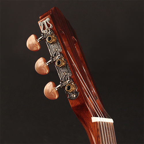 Cort AC 160 CFTL - Gitara klasyczna