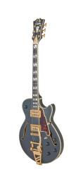 D’Angelico Deluxe Bobby Weir Matte Stone - elektrická kytara