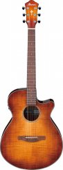Ibanez AEG70-VVH - elektroakustická gitara