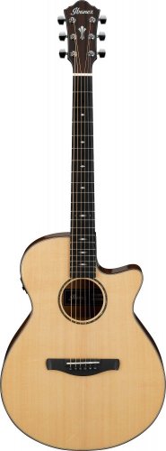 Ibanez AEG200-LGS - elektroakustická kytara