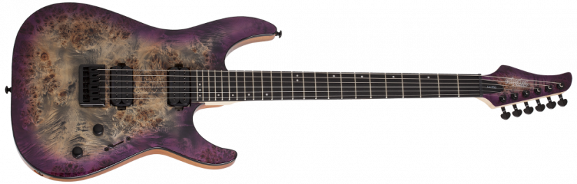 Schecter C6 PRO ARB - Elektrická kytara