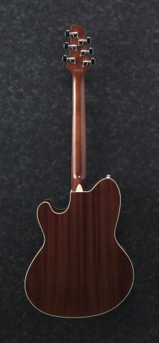 Ibanez TCM50-VBS - elektroakustická kytara