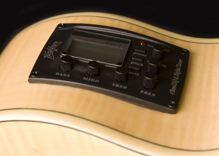 Washburn EA 20 (N) - elektroakustická kytara