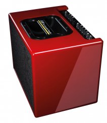 AER Compact 60 IV (RHG) - Kombo pre akustické nastroje