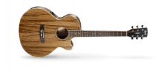 Cort SFX-DAO-NAT - Elektroakustická kytara