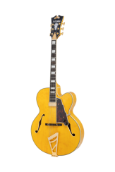 D'angelico Premier EXL1 Honey Blonde - elektrická kytara