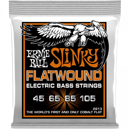 Ernie Ball 2813