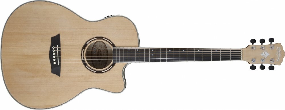 Washburn AG 40 CE (FN)