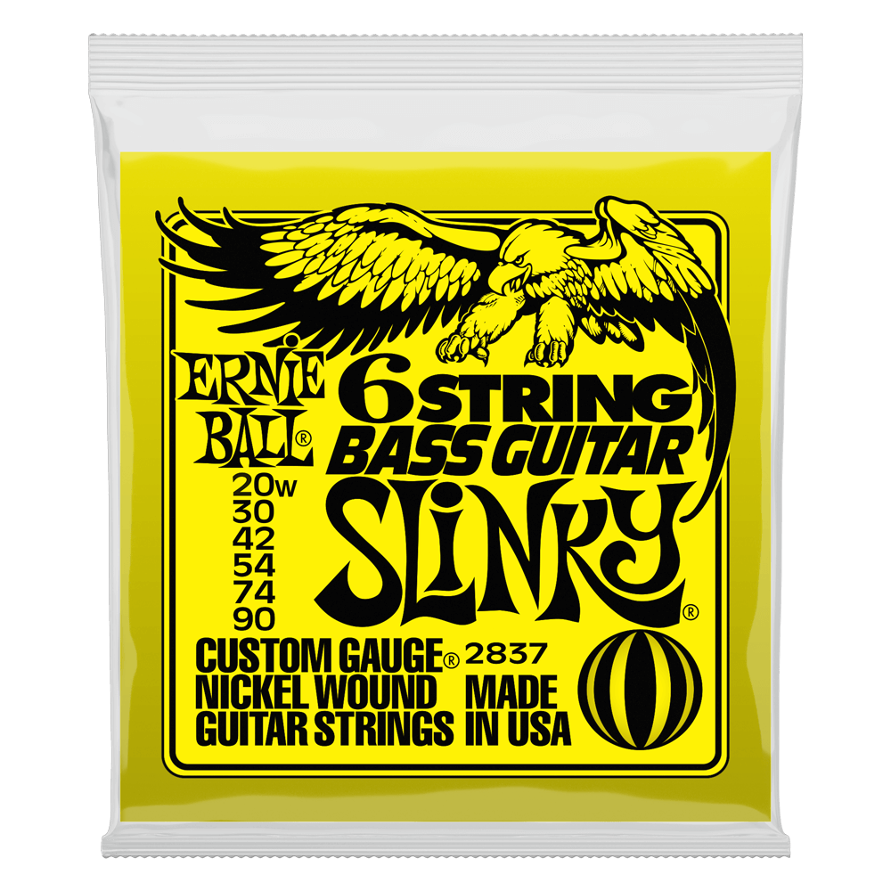 ERNIE BALL 2837